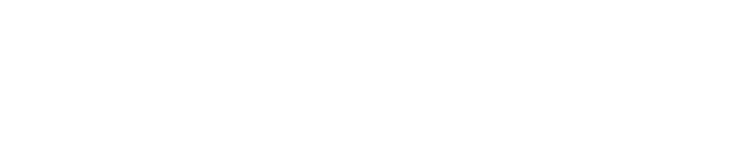 SHENBERG Auction House Logo